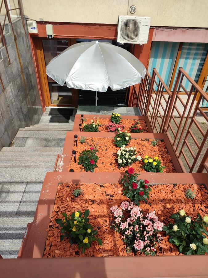 Garsoniera Alex Apartment Cluj-Napoca Exterior photo