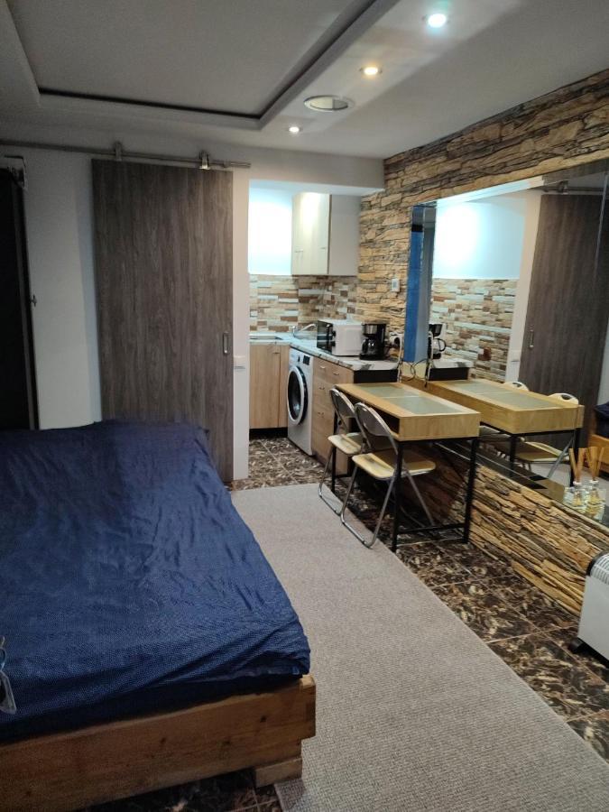 Garsoniera Alex Apartment Cluj-Napoca Exterior photo